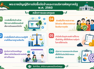 Infographic ของหน่วยงาน พารามิเตอร์รูปภาพ 7