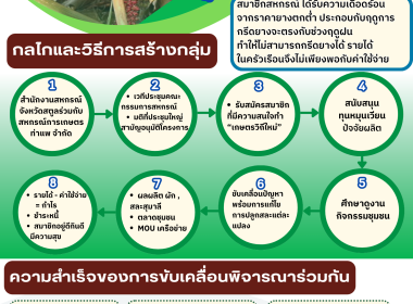 Infographic ของหน่วยงาน พารามิเตอร์รูปภาพ 3