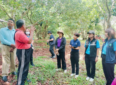 โครงการส่งเสริมและพัฒนาสินค้าเกษตรอัตลักษณ์พื้นถิ่น พารามิเตอร์รูปภาพ 7