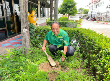 กิจกรรมวันต้นไม้ประจำปีของชาติ พารามิเตอร์รูปภาพ 4