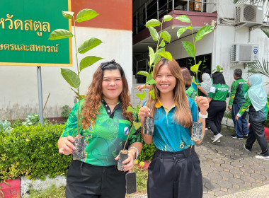 กิจกรรมวันต้นไม้ประจำปีของชาติ พารามิเตอร์รูปภาพ 2