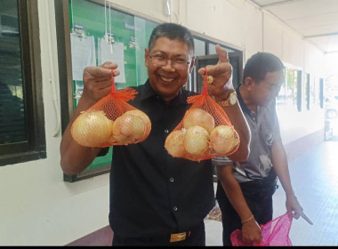 สำนักงานสหกรณ์จังหวัดสตูลร่วมกระจายผลผลิตหอมใหญ่ออกนอกแหล่งผลิต ... พารามิเตอร์รูปภาพ 2