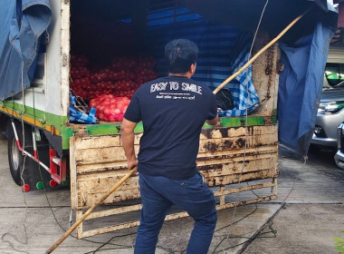 สำนักงานสหกรณ์จังหวัดสตูลร่วมกระจายผลผลิตหอมใหญ่ออกนอกแหล่งผลิต ... พารามิเตอร์รูปภาพ 5