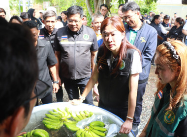 รัฐมนตรีช่วยว่าการกระทรวงเกษตรและสหกรณ์ ลงพื้นที่จังหวัดสตูล พารามิเตอร์รูปภาพ 8